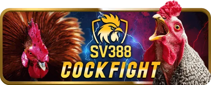 Hỗ trợ khách hàng 24/7 new88inh